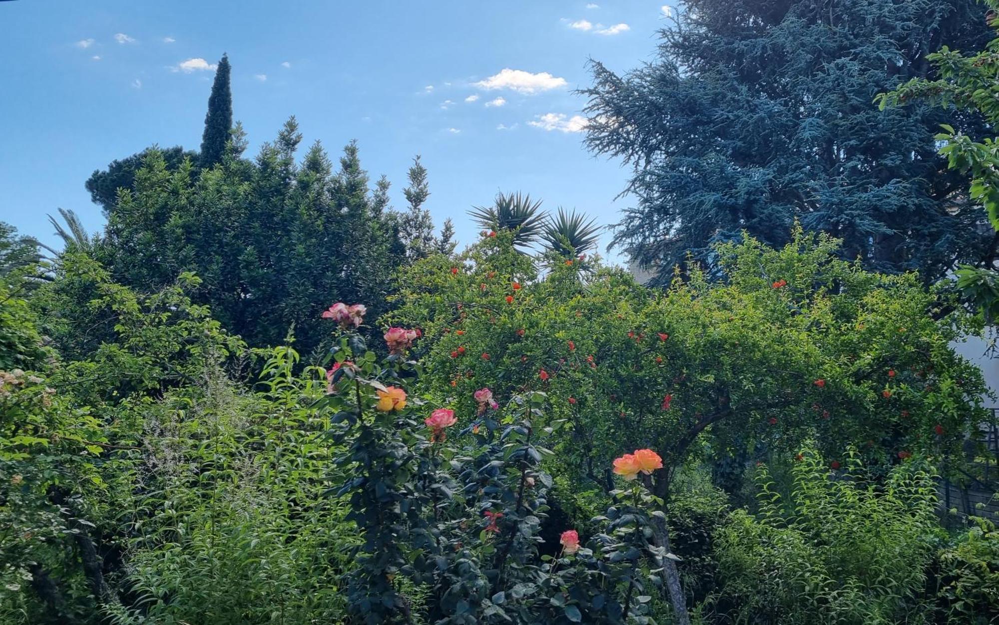 Laroque-des-Albères Villa El Correc מראה חיצוני תמונה